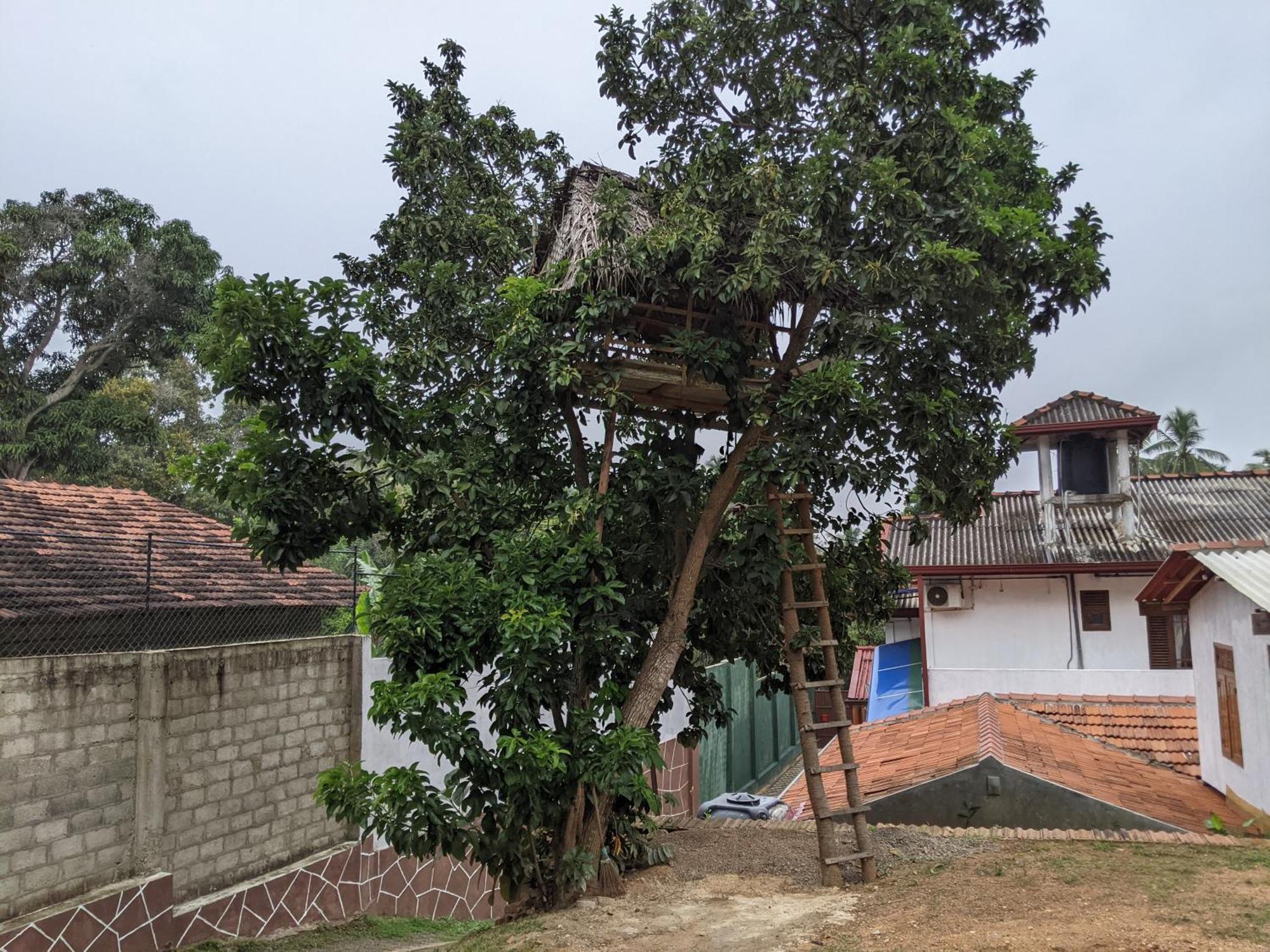 Serendip Villa Holiday Home Talalla Sri Lanka Номер фото
